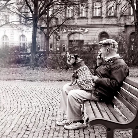 Small Sunny Park View