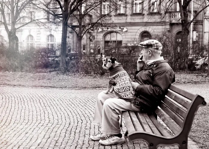 Small Sunny Park View