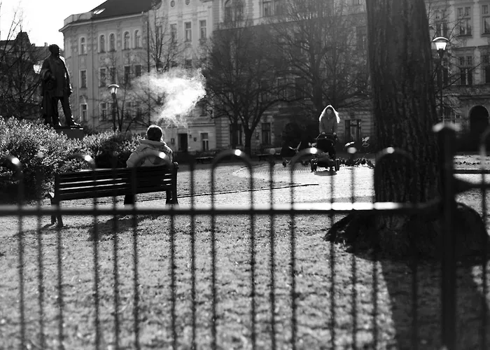 公寓 Small Sunny Park View 布拉格