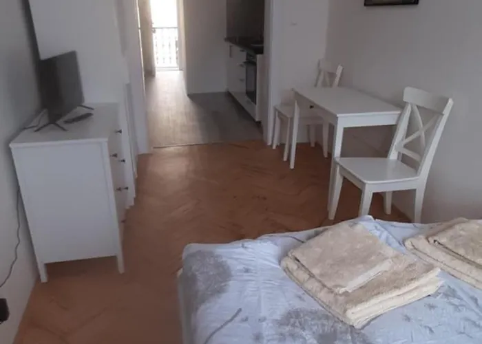 Small Sunny Park View Lägenhet Prag