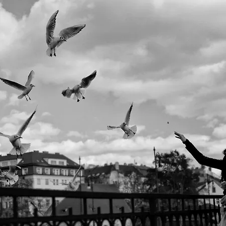 Small Sunny Park View Appartement