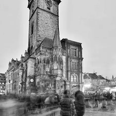 Small Sunny Park View *